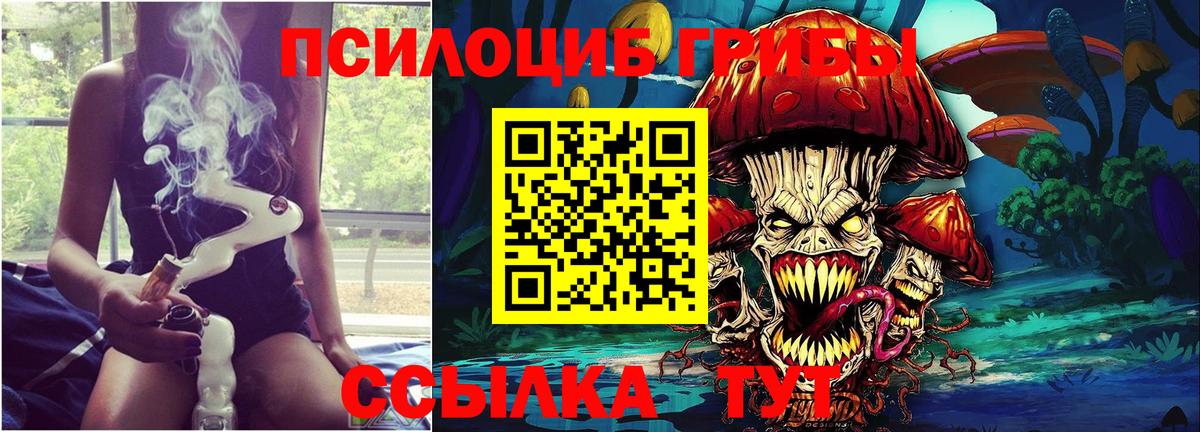 Псилоцибиновые грибы прущие грибы Губкин