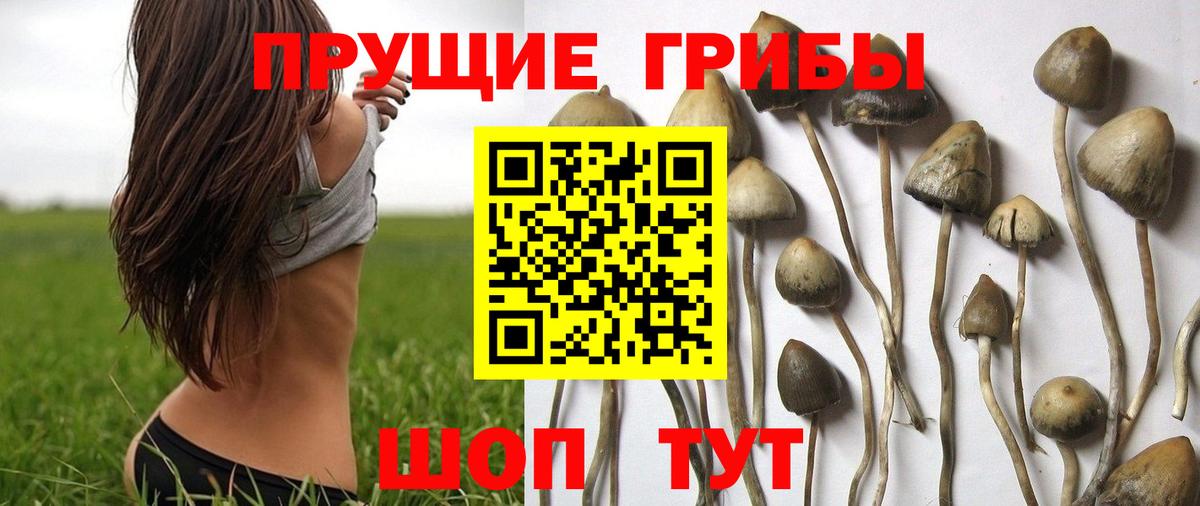 Псилоцибиновые грибы ЛСД  Галлюциногенные грибы мухоморы  купить наркотики сайты  Губкин  Вход с VPN 
